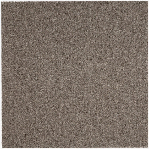 Tuca Valencia taupe — darmowa próbka